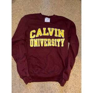 Champion Sweatshirt